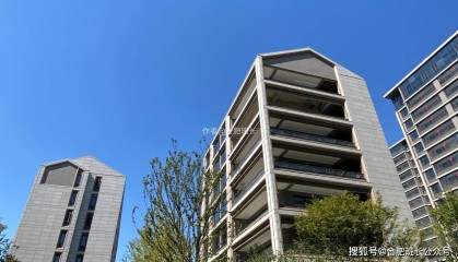 2022年合肥单价5万以上小区，2024年还能卖多少，价格表现如何？